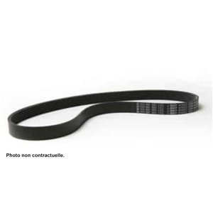 96161326 - Courroie pompe à eau et clim XM V6 -Organes extérieurs au moteur - référence : 96161326-OE