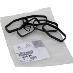 101934 - JOINT CREPINE POMPE A HUILE